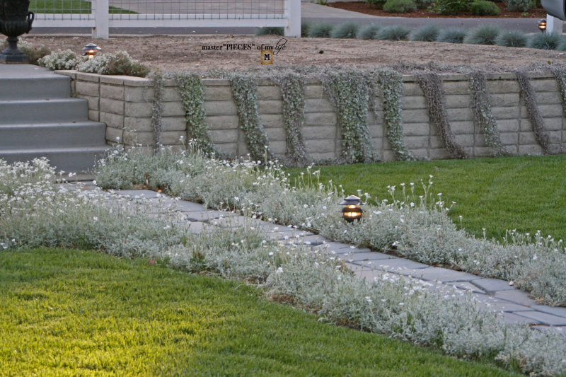 7 happenings spring garden14