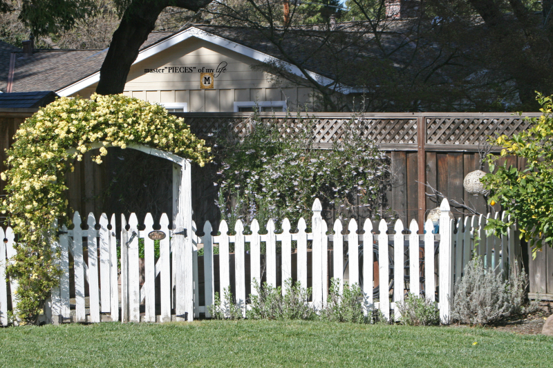 Things to do sping has sprung6