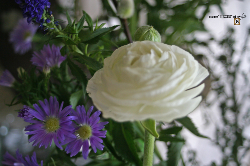 Things to do sping has sprung12