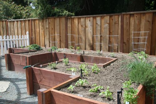 how does your garden grow