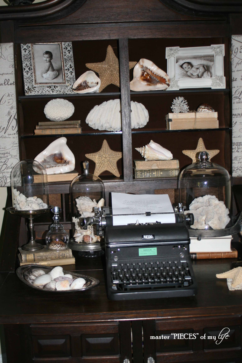 Secretary seashells 6