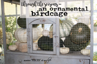 Thru the seasons - ornamental birdcage