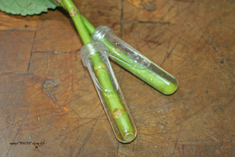 Floral cone bouquets DIY 13