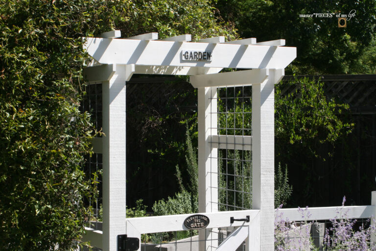 Vegetable Garden Mid-summer Update