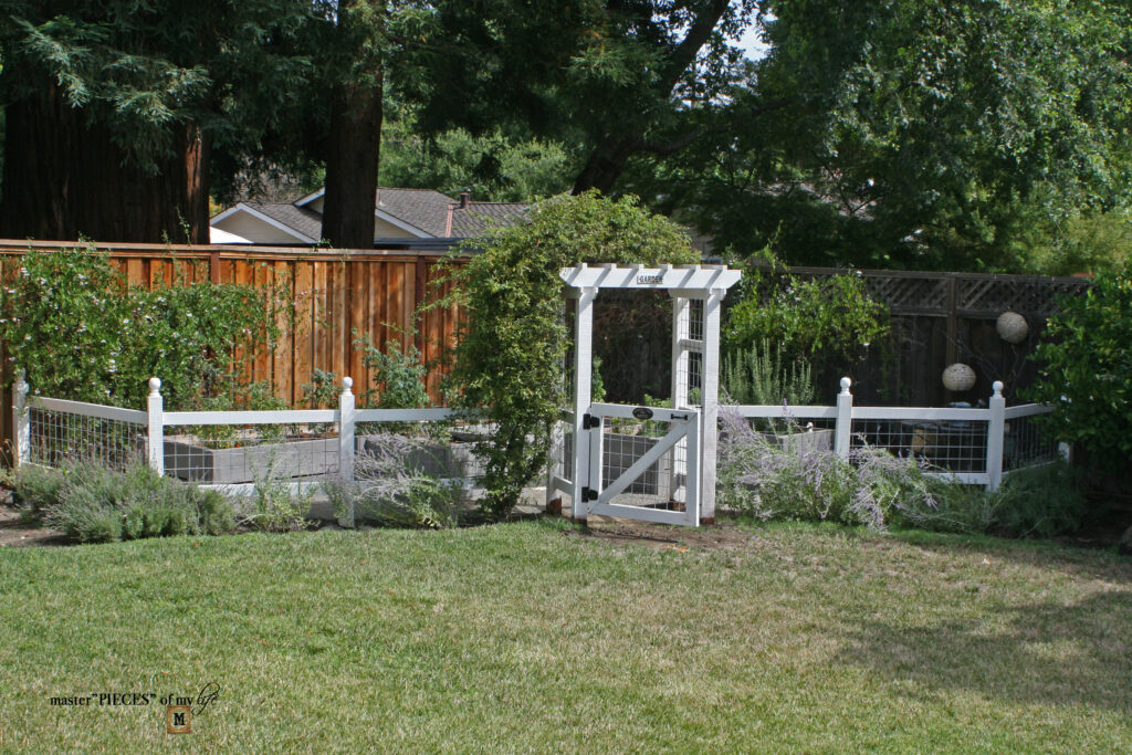 vegetable garden update