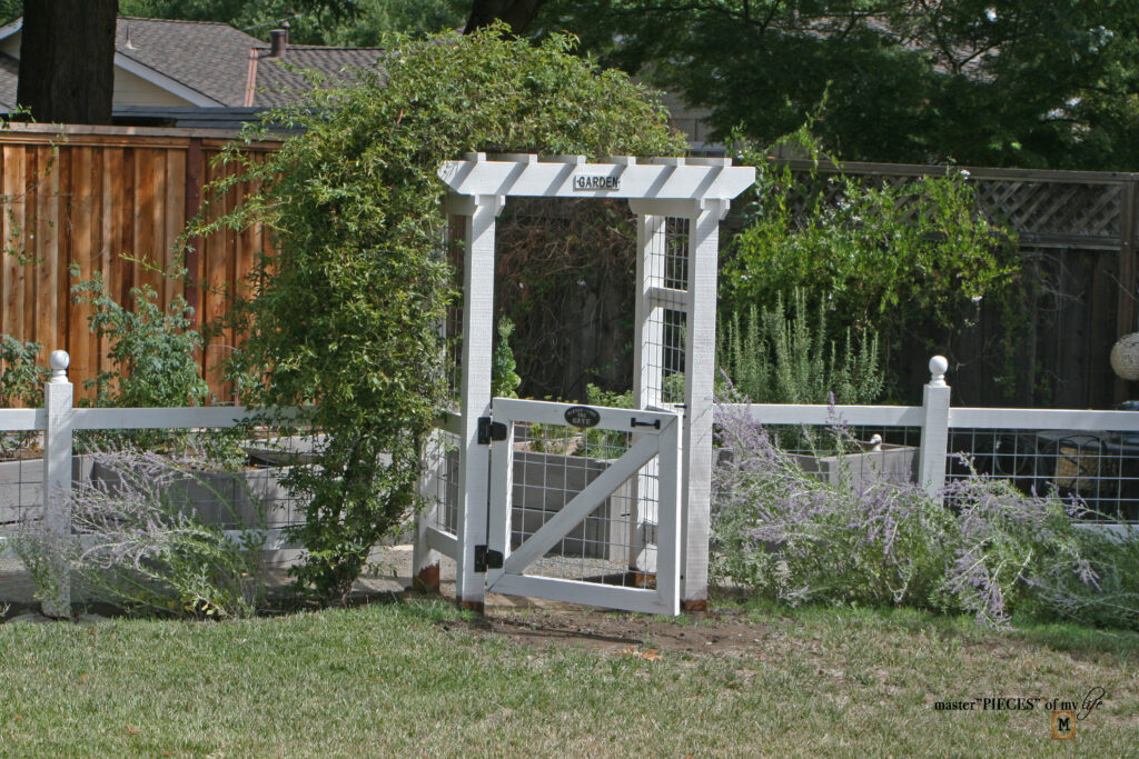 vegetable garden update