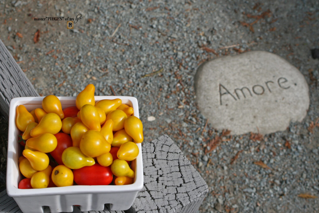 vegetable garden update