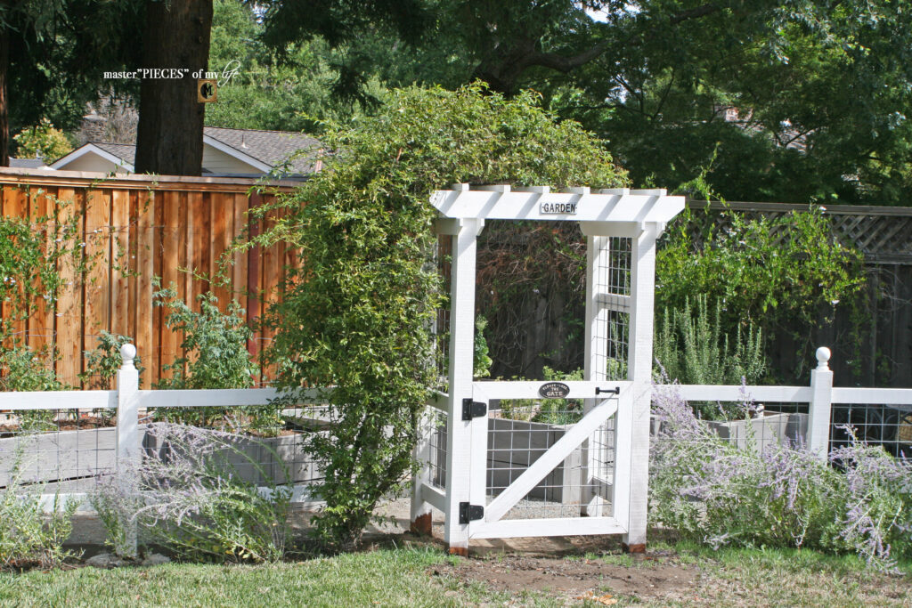 vegetable garden update