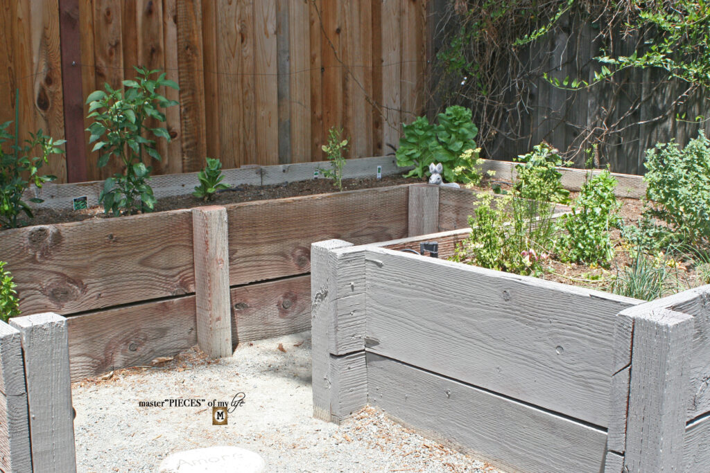 vegetable garden update
