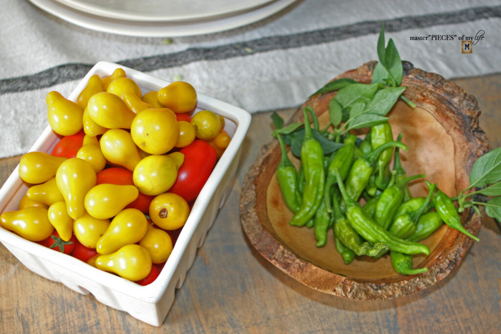 vegetable garden update