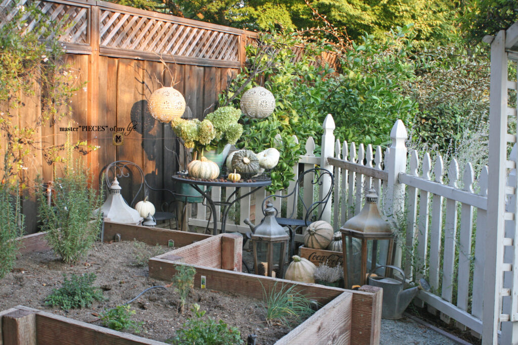 Pretty perch in tthe garden 13 pumpkin perch in the garden