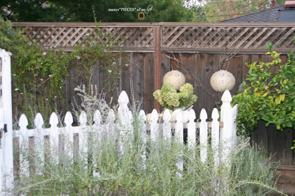 Pretty perch in tthe garden 10