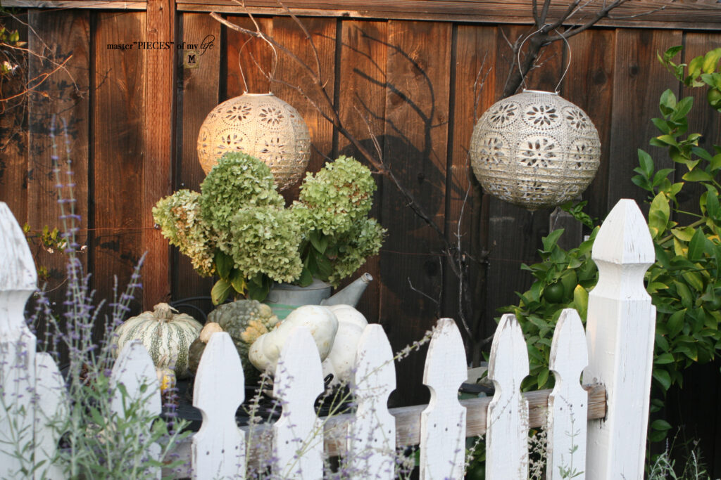 Pretty perch in tthe garden 11