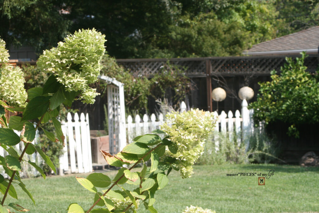 Pretty perch in tthe garden 12