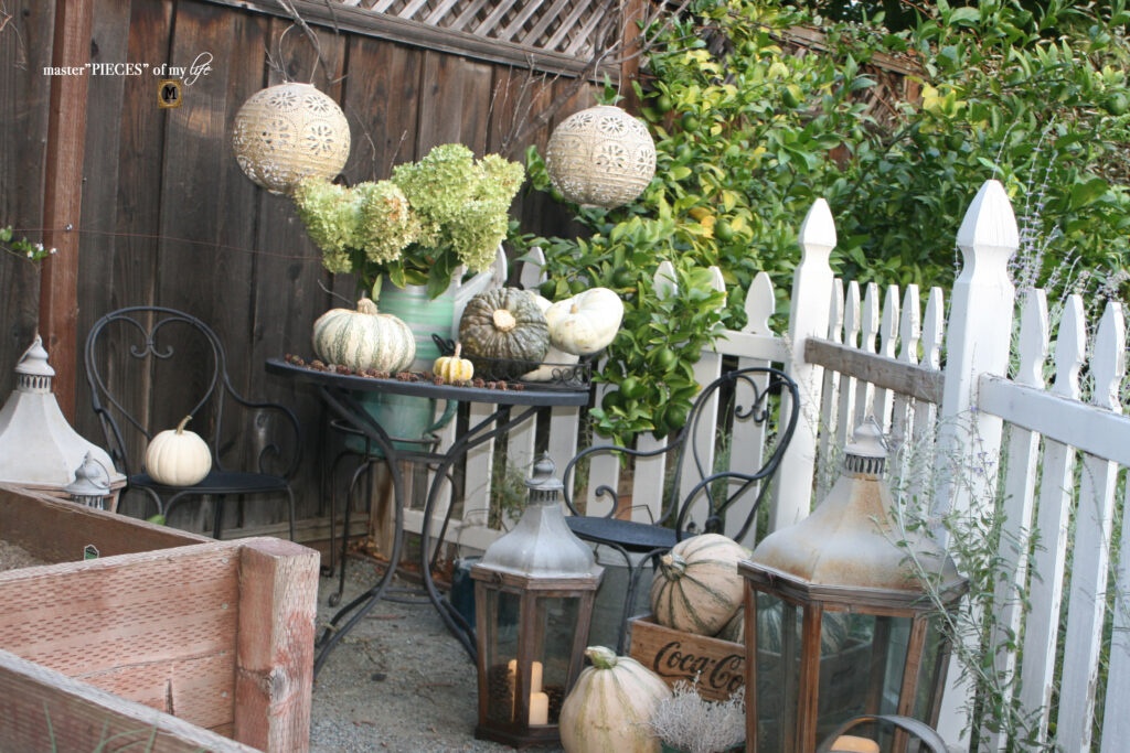 Pretty perch in tthe garden 4 fall feels