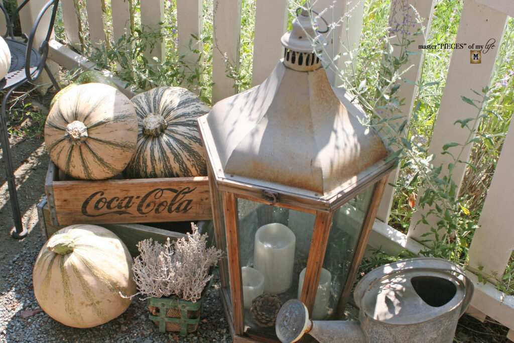 Pretty perch in tthe garden 5 pumpkins in the garden