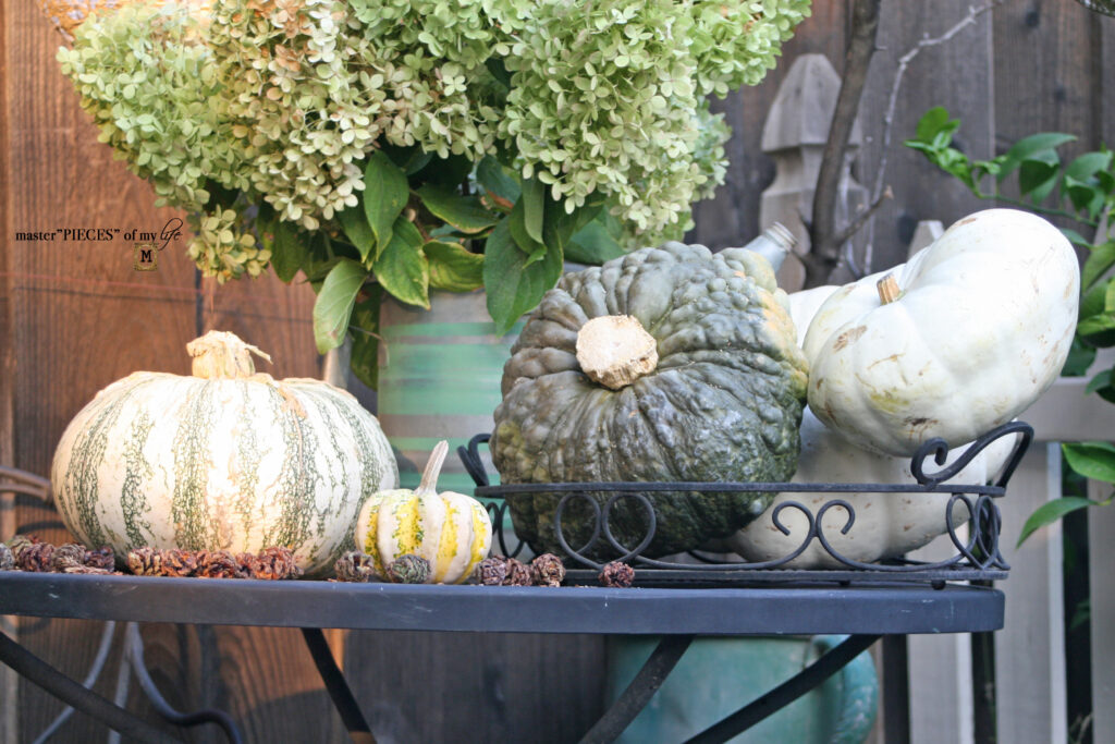 Pretty perch in tthe garden 6 pumpkin perch in the garden