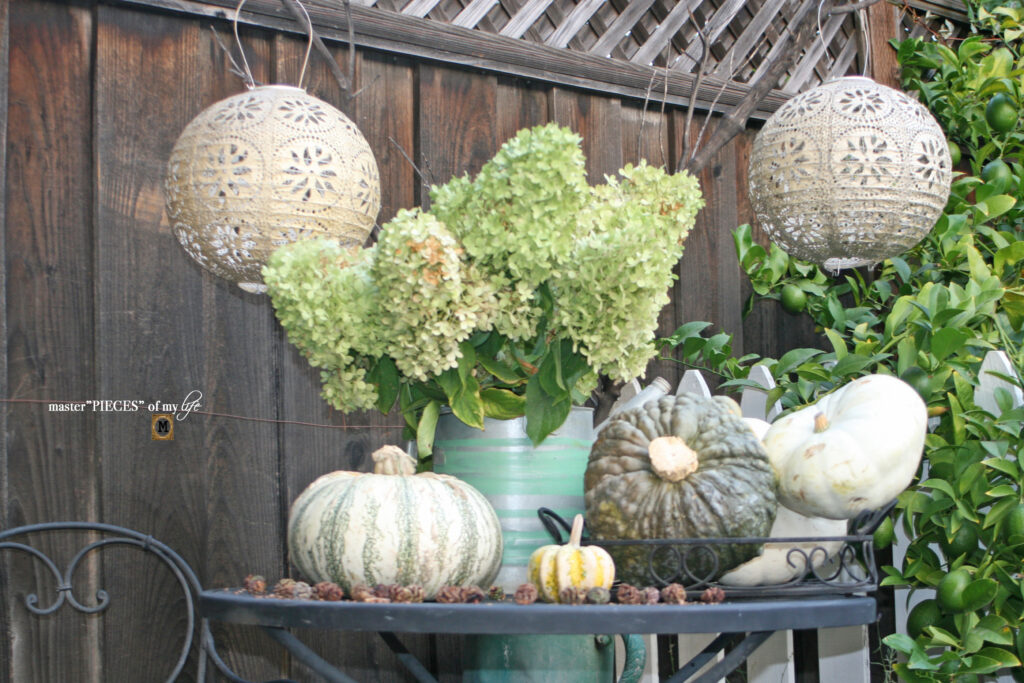 Pretty perch in tthe garden 7 pumpkins on the garden