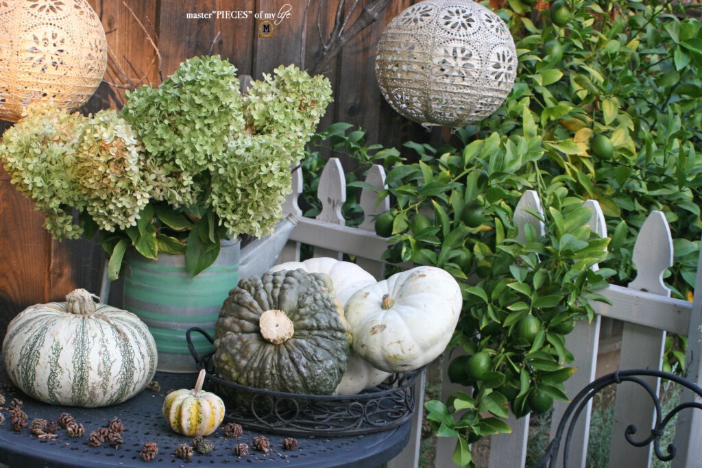Pretty perch in tthe garden 8 pretty pumpkin perch