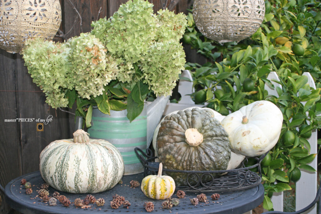Pretty perch in tthe garden 14 pumpkin fall decor