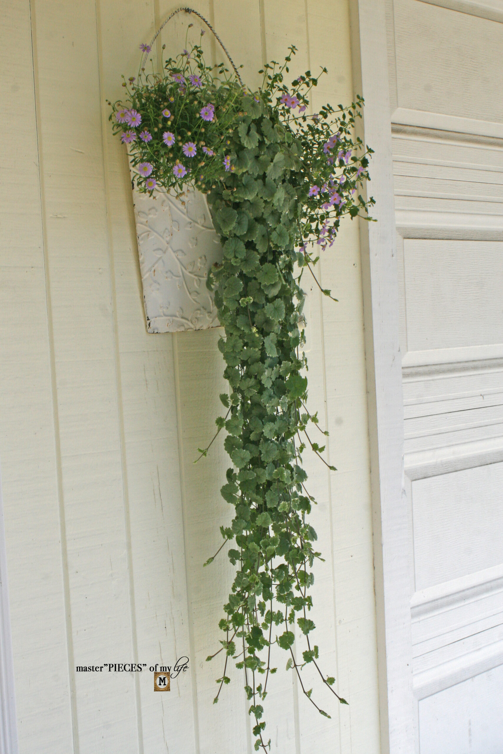 metal hanging basket with trailing plants and flowers