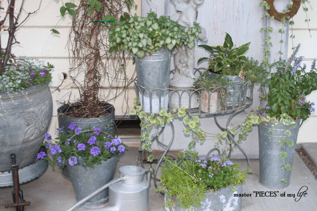galvanized container gardening
