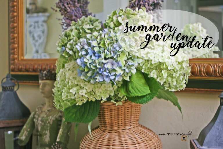 summer garden updates