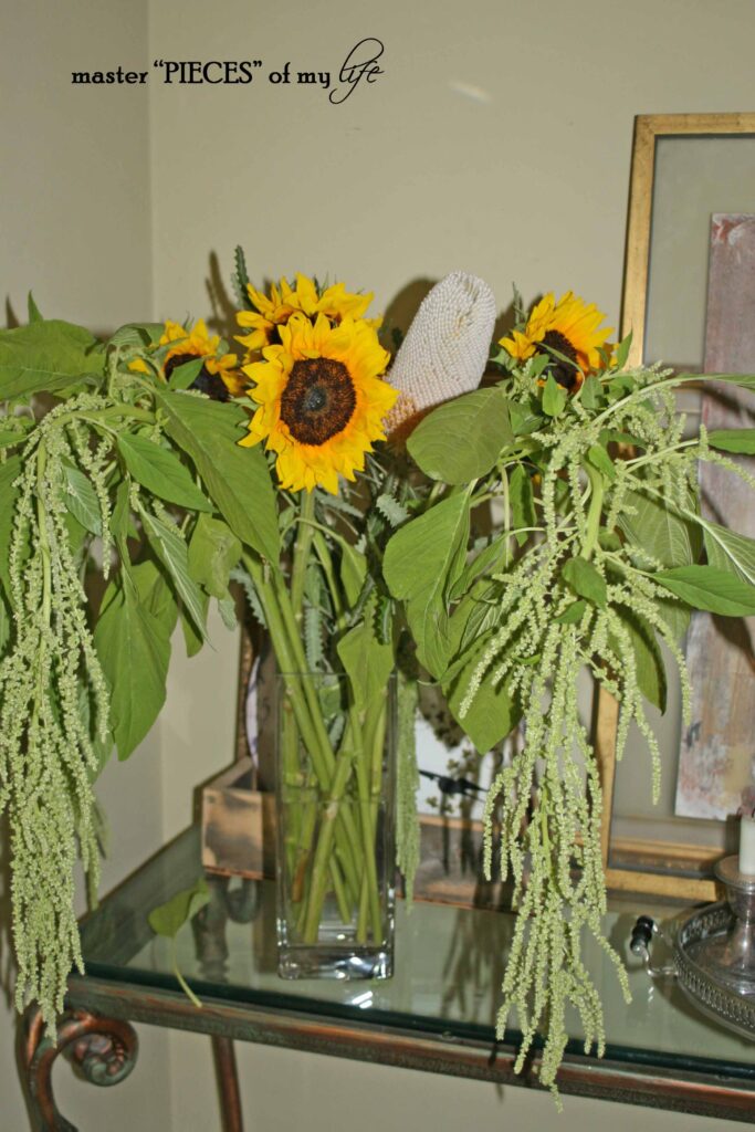 terrain sunflowers