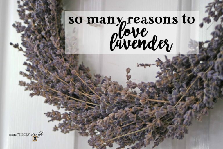 so many reasons to love lavender