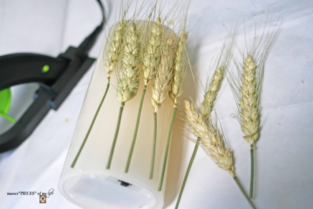 decorating with wheat