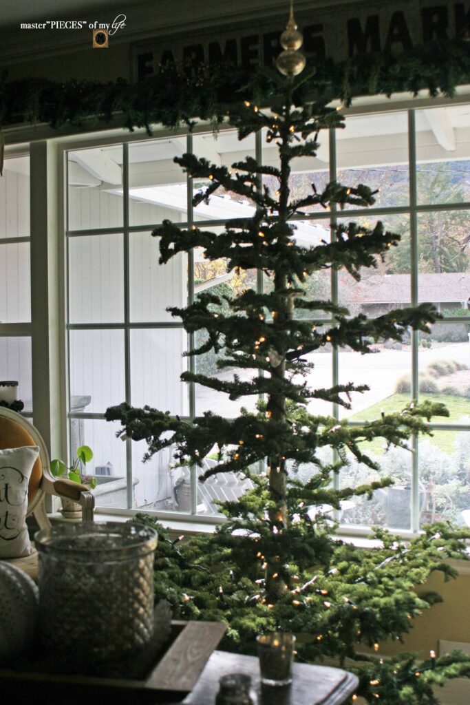 silver tip fir christmas tree