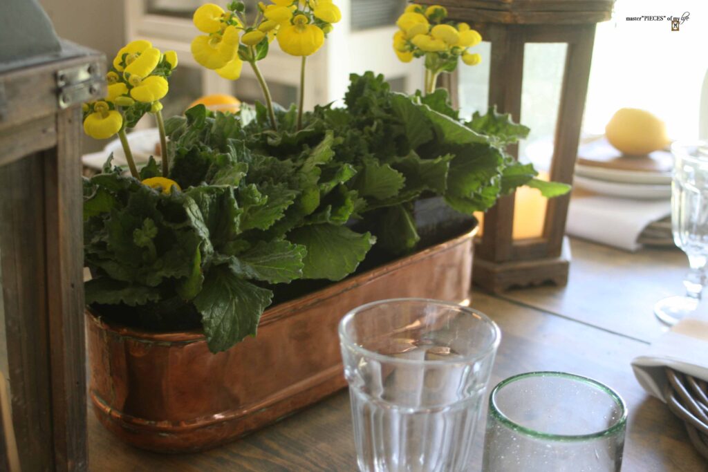 a sunny rustic farmhouse tablescape