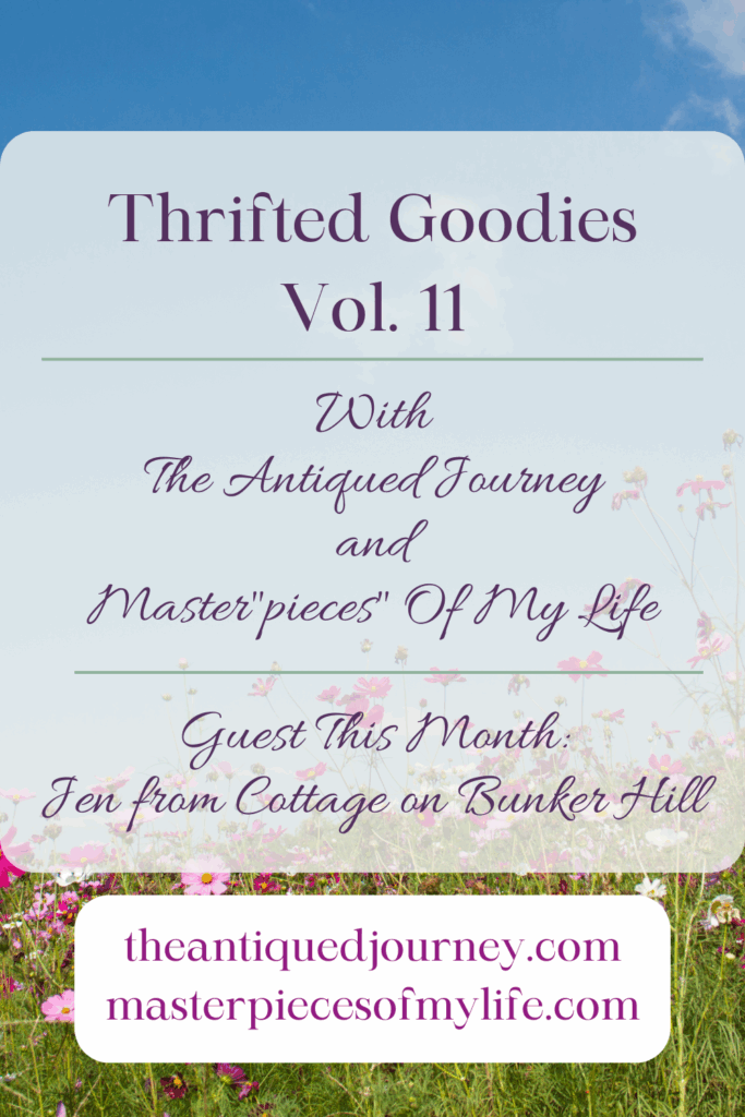 thrifted goodies series