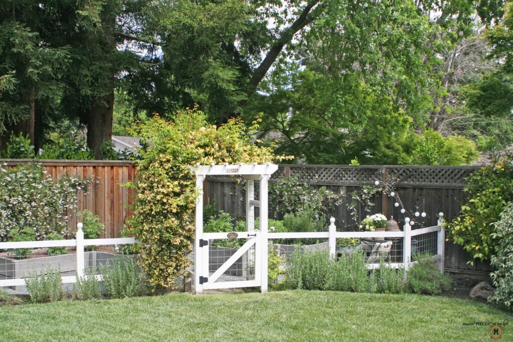 vegetable garden vibes