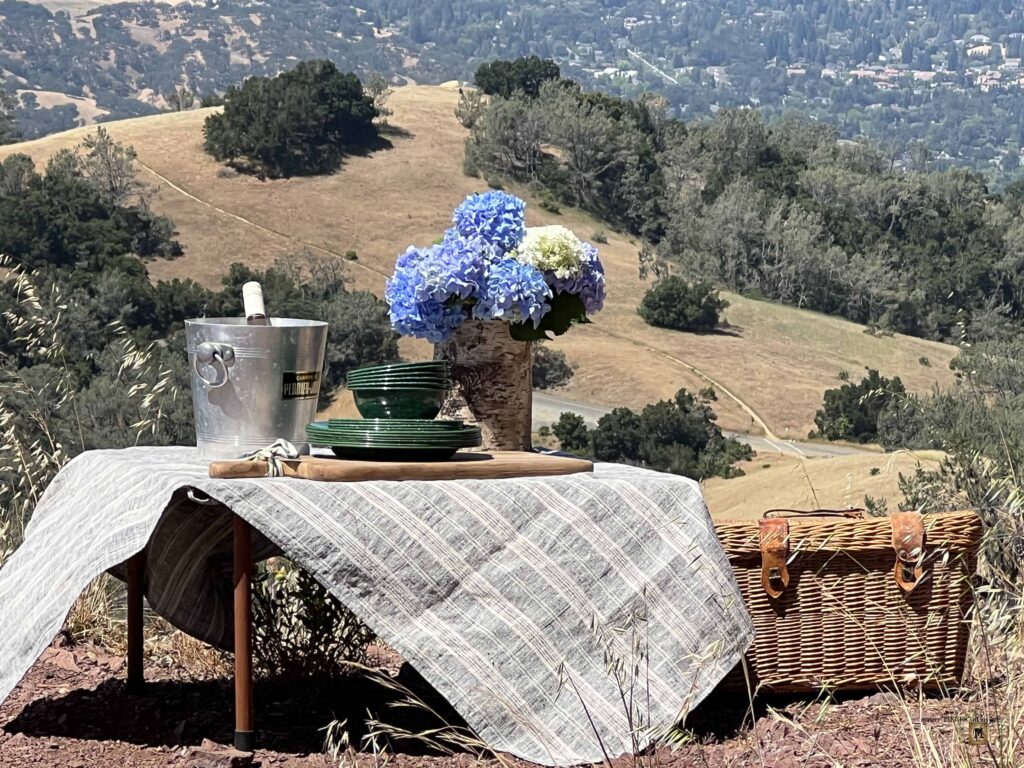 picnic on a mountain top