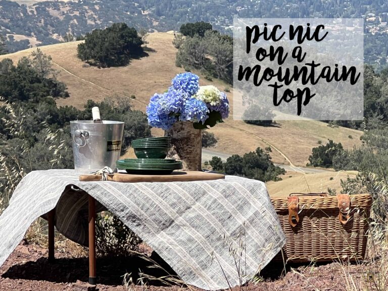 Picnic on a Mountain Top