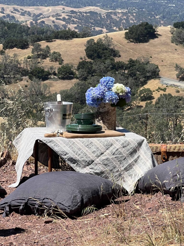 picnic on a mountain top