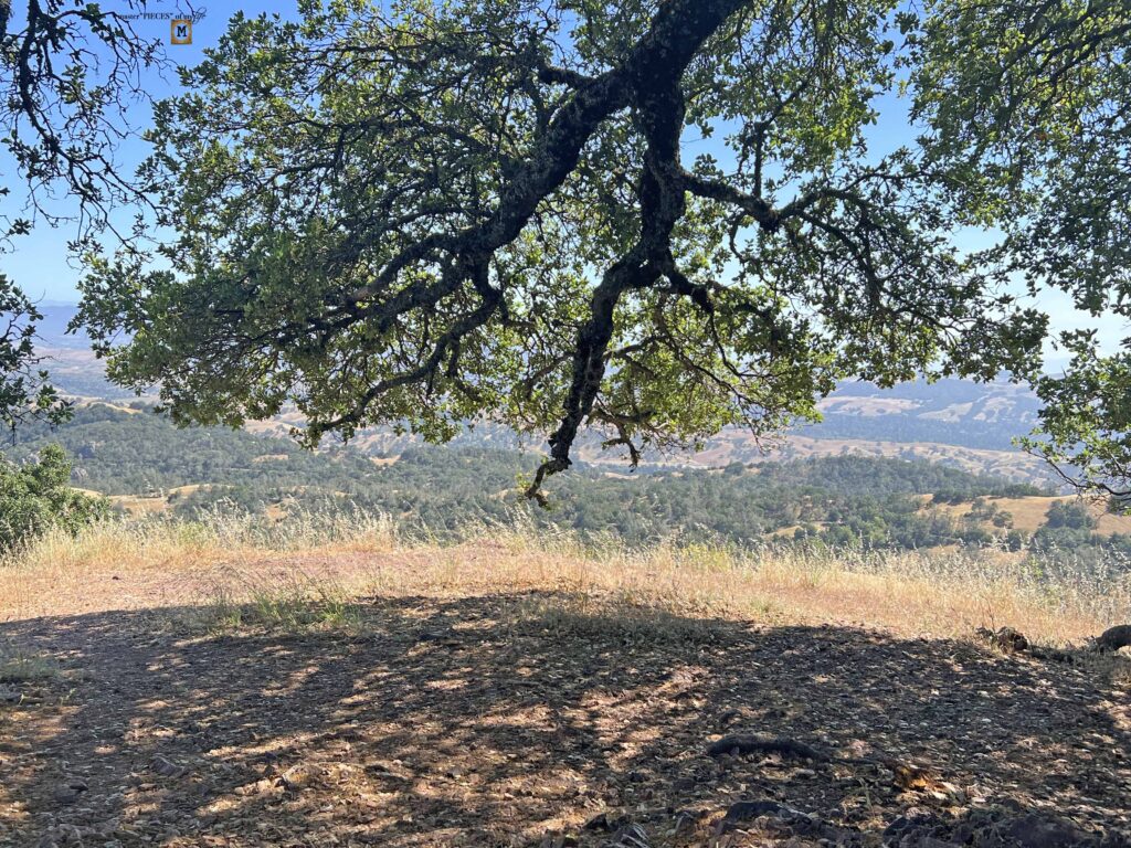 picnic on a mountain top