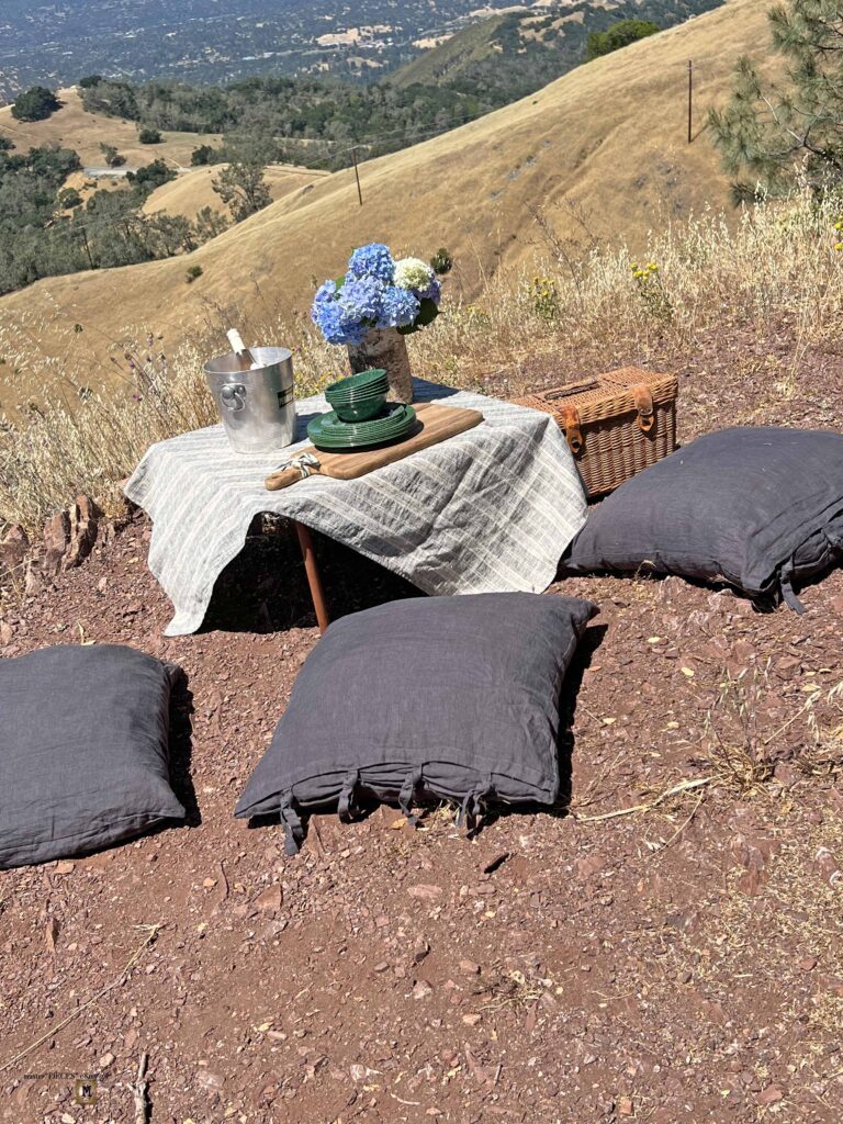 picnic on a mountain top