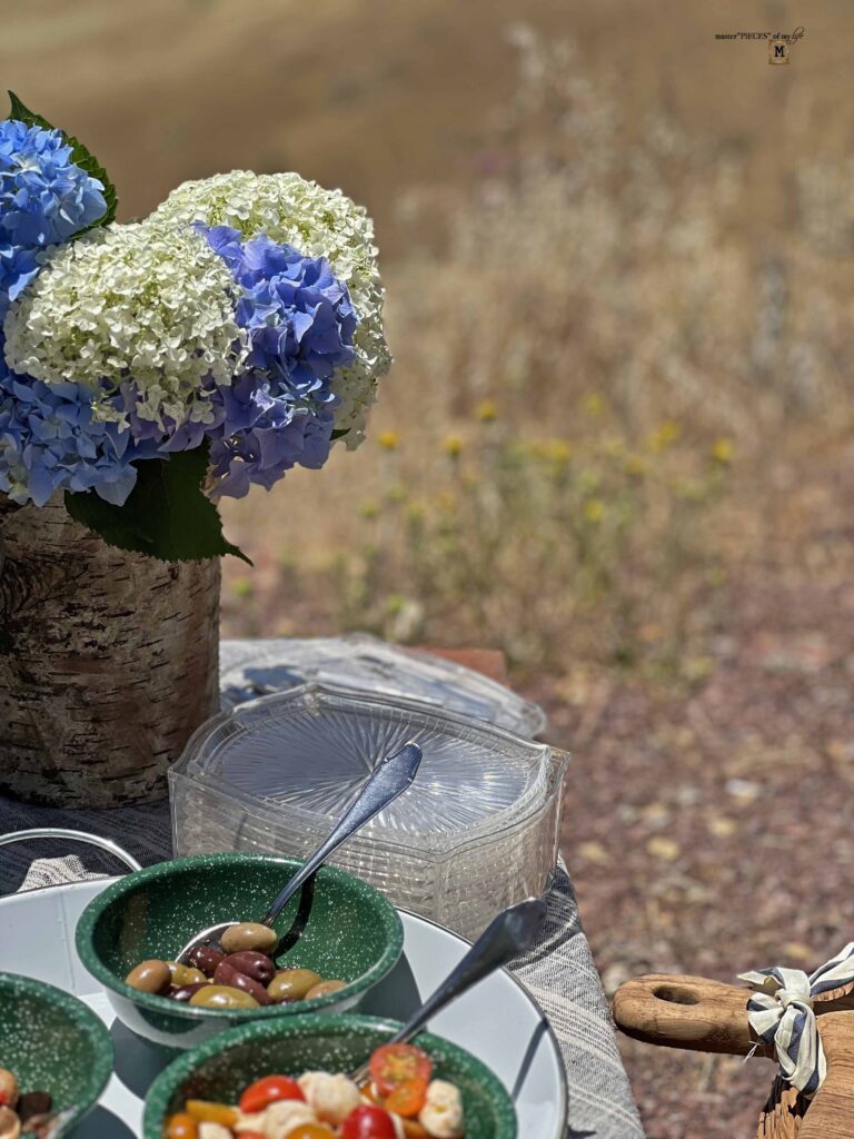 picnic on a mountain top