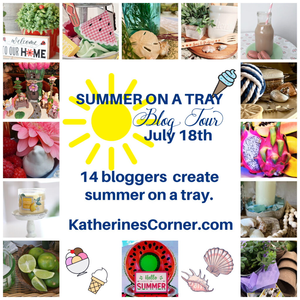summer on a tray blog tour