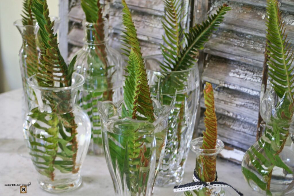 easy fern decor
