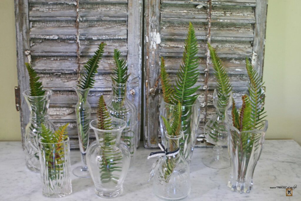easy fern decor
