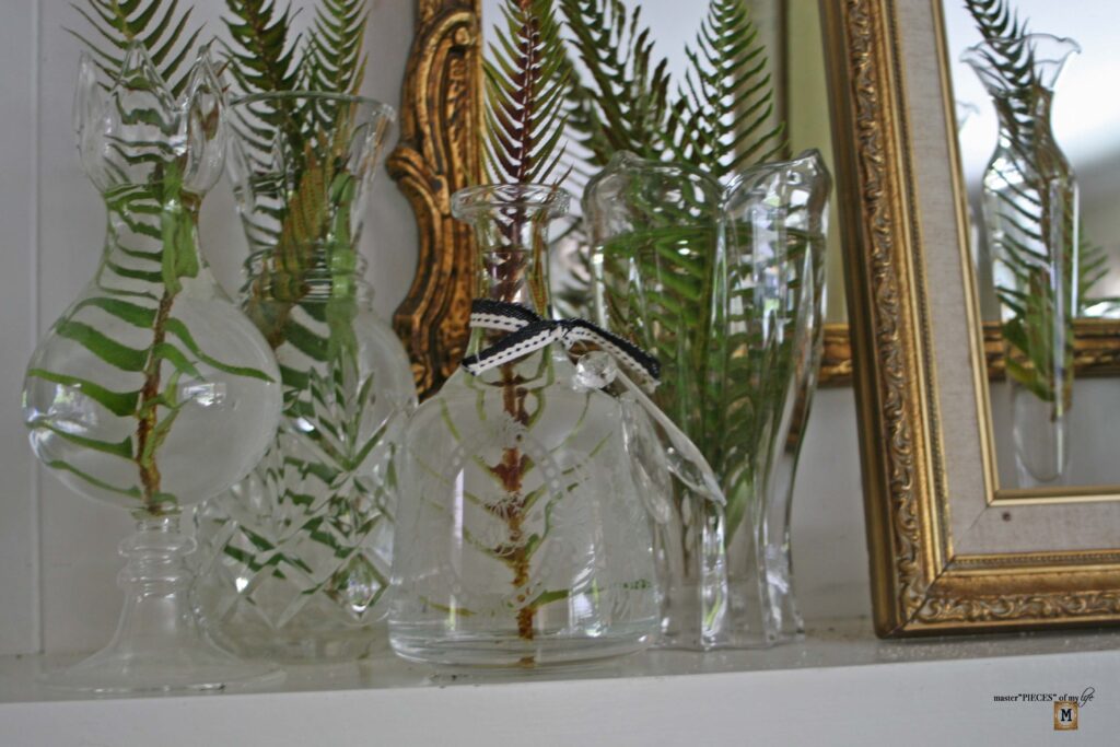 easy fern decor