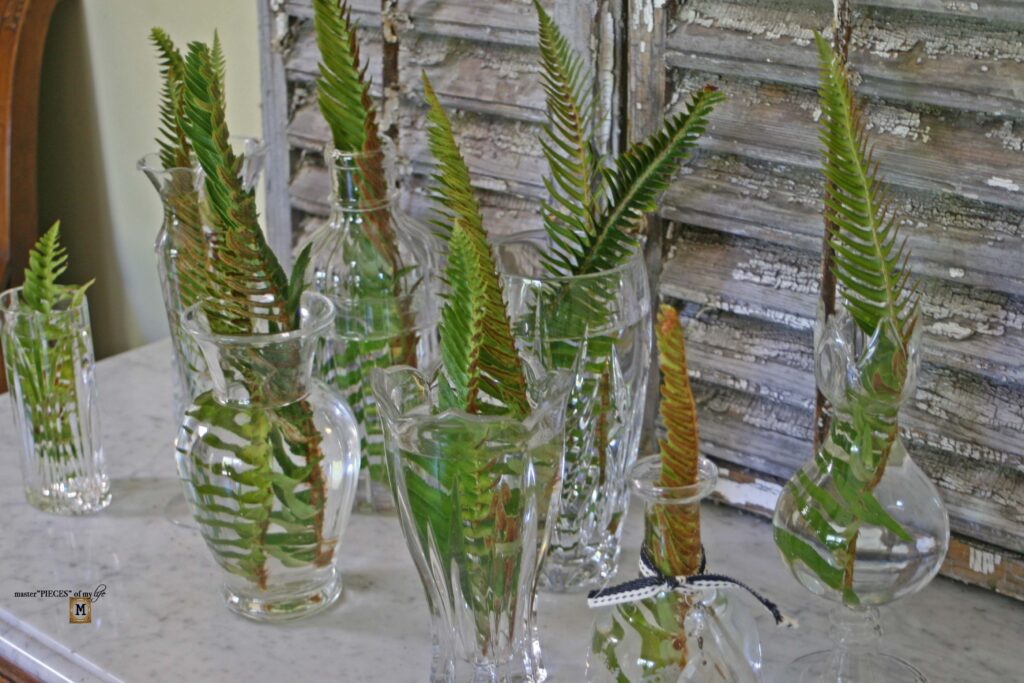 easy fern decor
