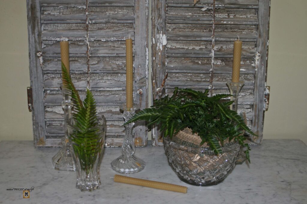 easy fern decor