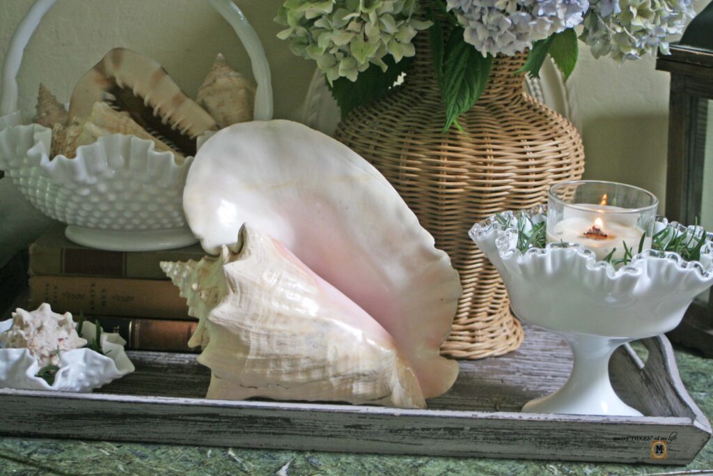 seashell decor vignette