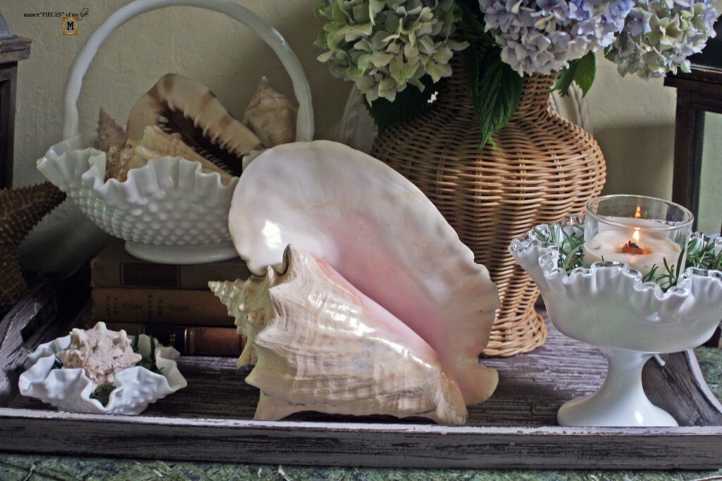 seashell vignette