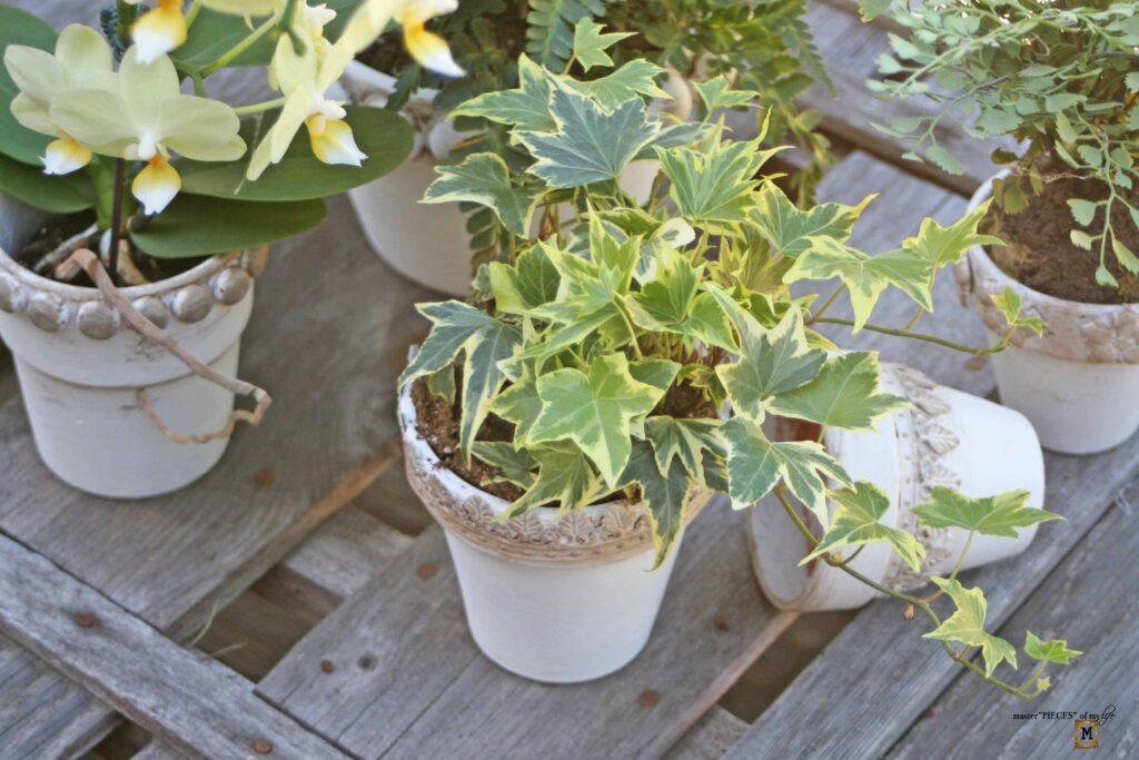 Wakefield garden pottery knock off