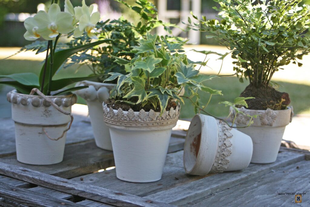 Wakefield garden pottery knock off